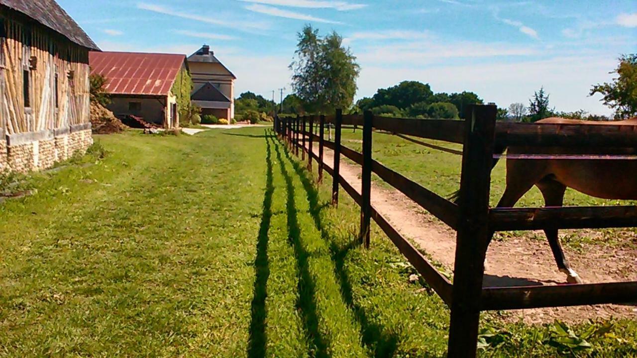 B&B Haras De La Cour Fleury Saint-Michel-de-Livet Kültér fotó